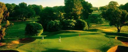 golf mini bus package